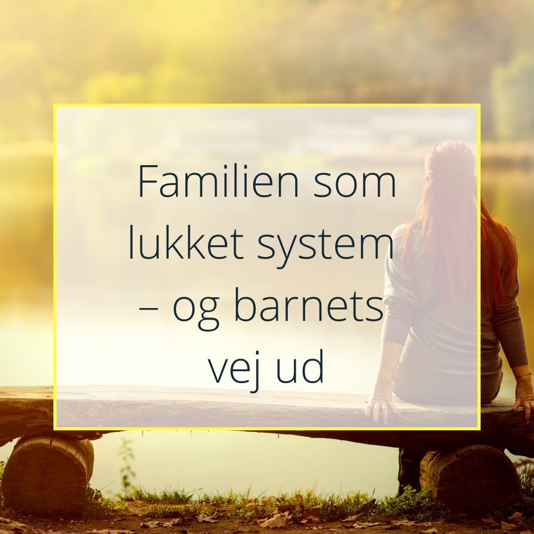 Er det ikke synd for narcissisten?